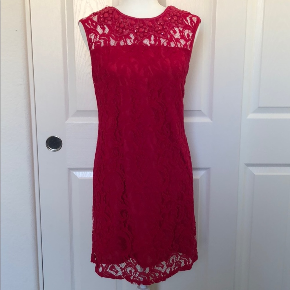 Pink Lace Adrianna Papell Dress